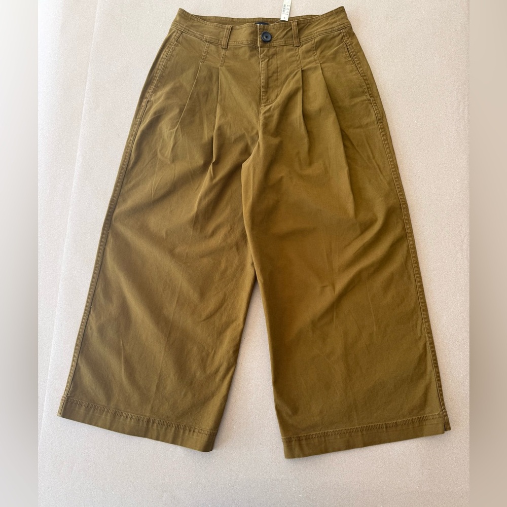 Madewell — Pleated Canvas Wide-Leg Chinos — Size 10 - NWT